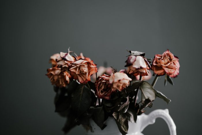 Flores marchitas